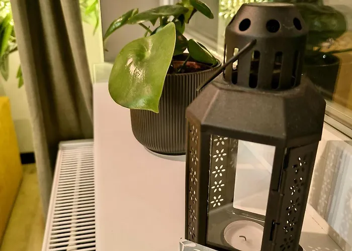 Gajowy Zakatek Wrocław